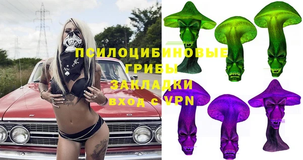 a pvp Алзамай