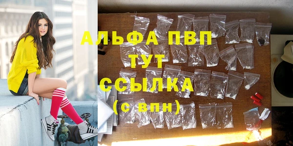 герыч Алексин